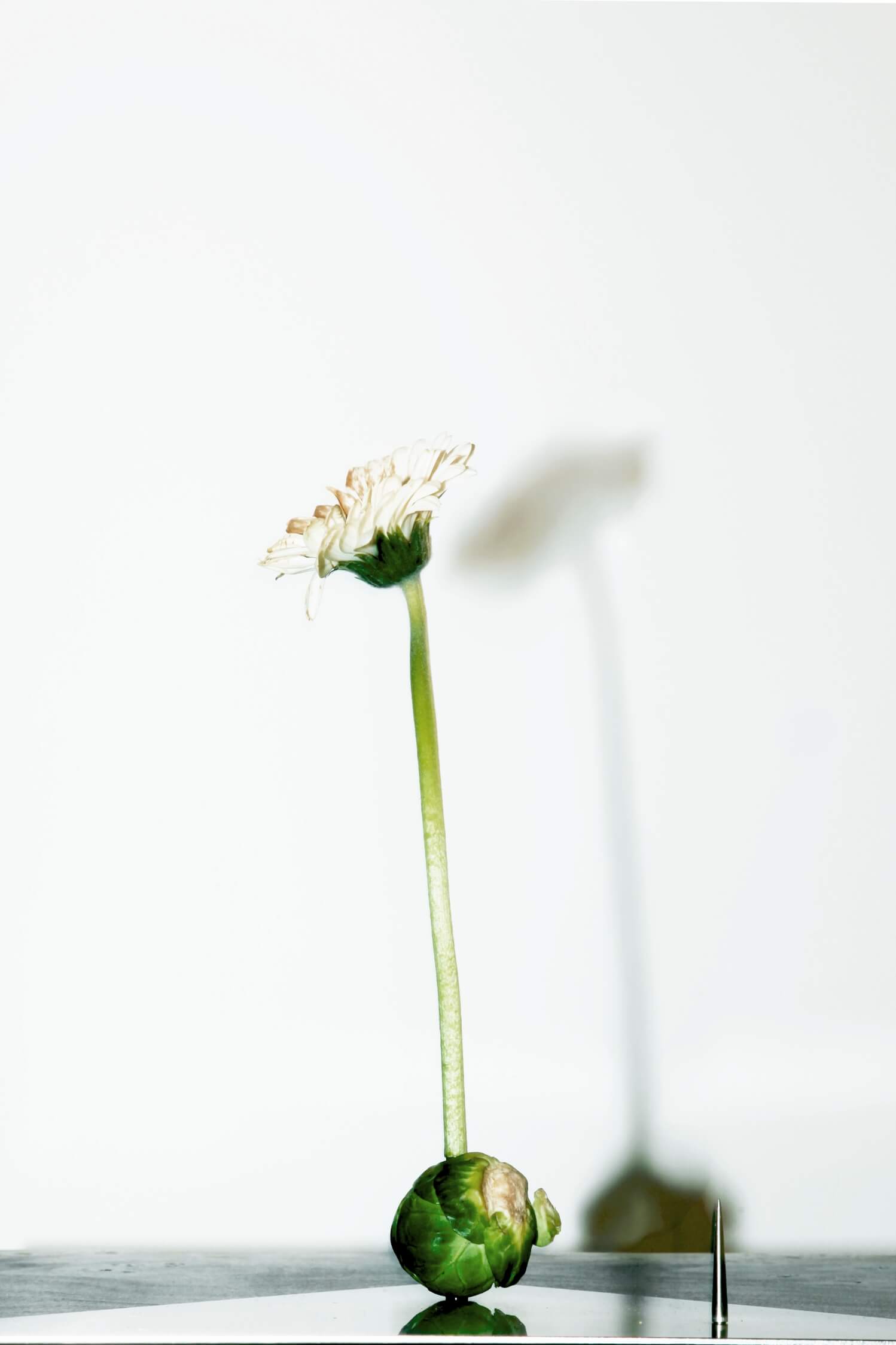 Design Beyond Function